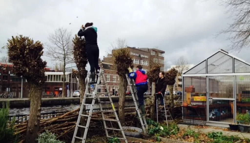 fullsizerender fullsizerender