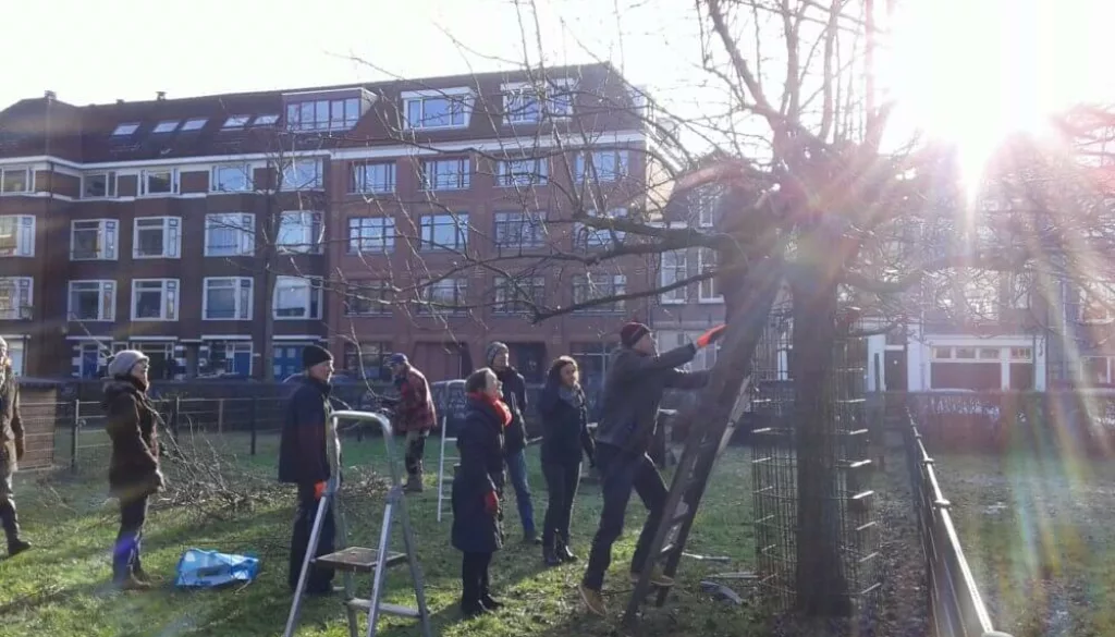 20190119_114526_resized 20190119_114526_resized