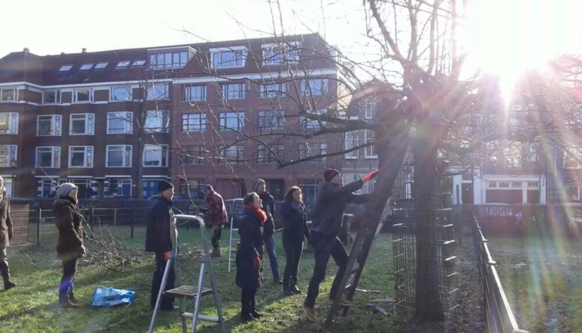 20190119_114526_resized