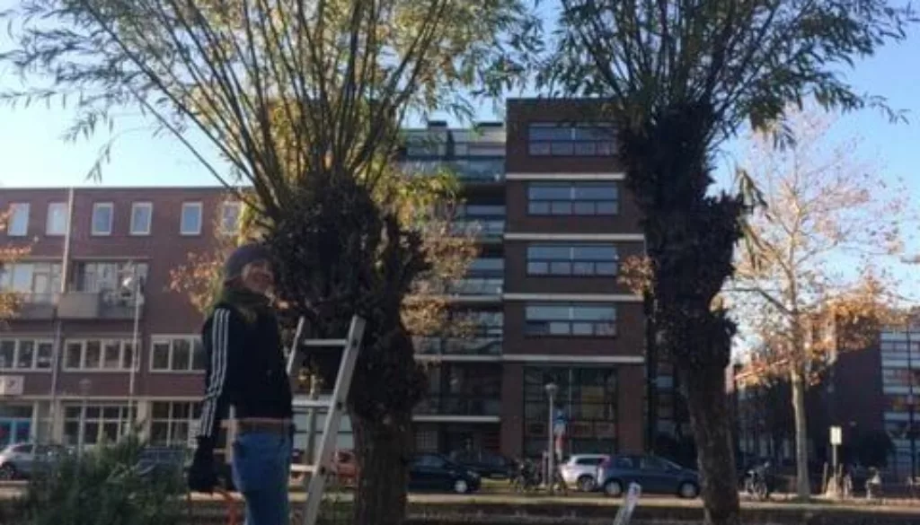 Popke IMG_9060 Popke IMG_9060