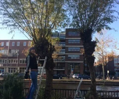 Popke IMG_9060 Popke IMG_9060