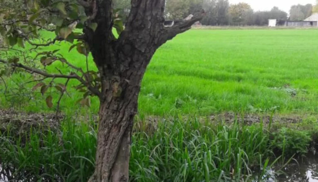 20201009_143843 20201009_143843