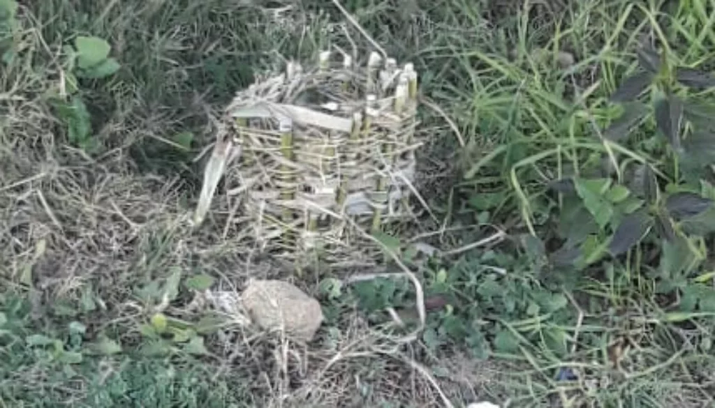 IMG-20210102-WA0001 IMG-20210102-WA0001