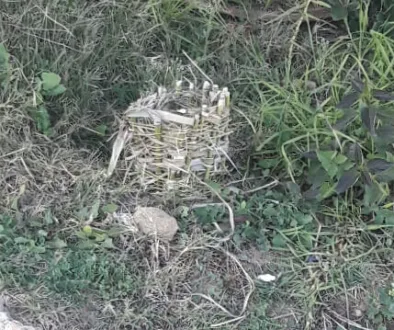 IMG-20210102-WA0001 IMG-20210102-WA0001