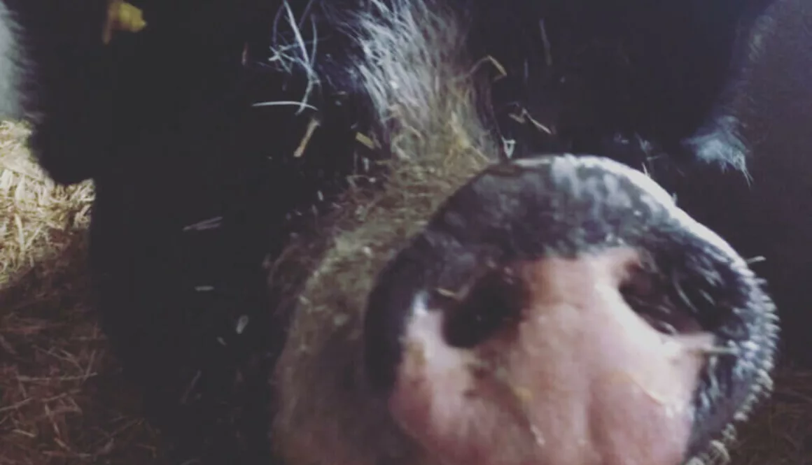 24562DC6-48B4-494F-B047-A9178D512C76