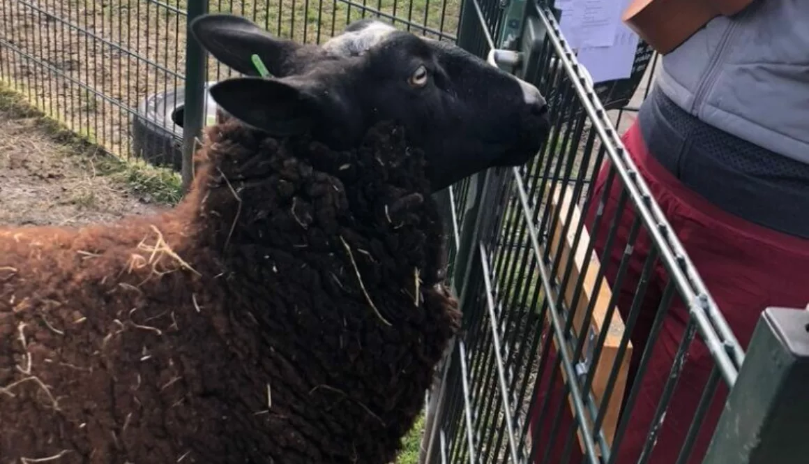 32FEF6CC-5024-4450-BFE7-507063777152_1_105_c