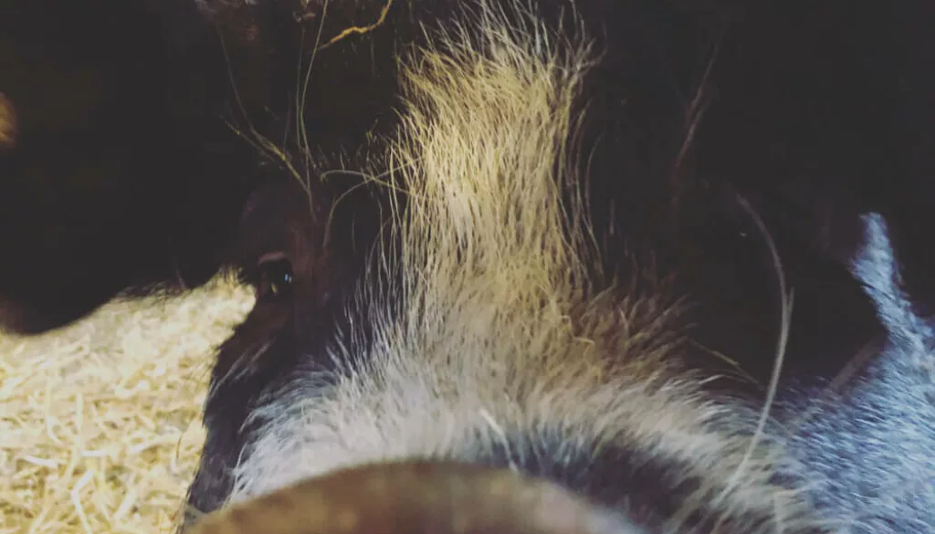 4DD8AE8A-7F03-4CC9-9E25-F64D168D5943 4DD8AE8A-7F03-4CC9-9E25-F64D168D5943