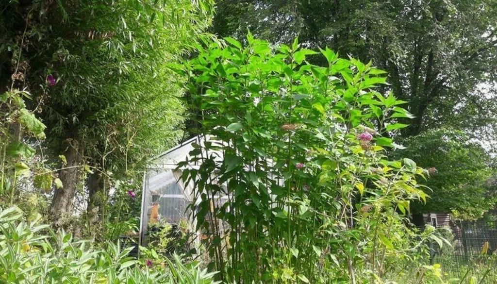 2FF6F9A9-9211-4D15-8382-0167B2258395