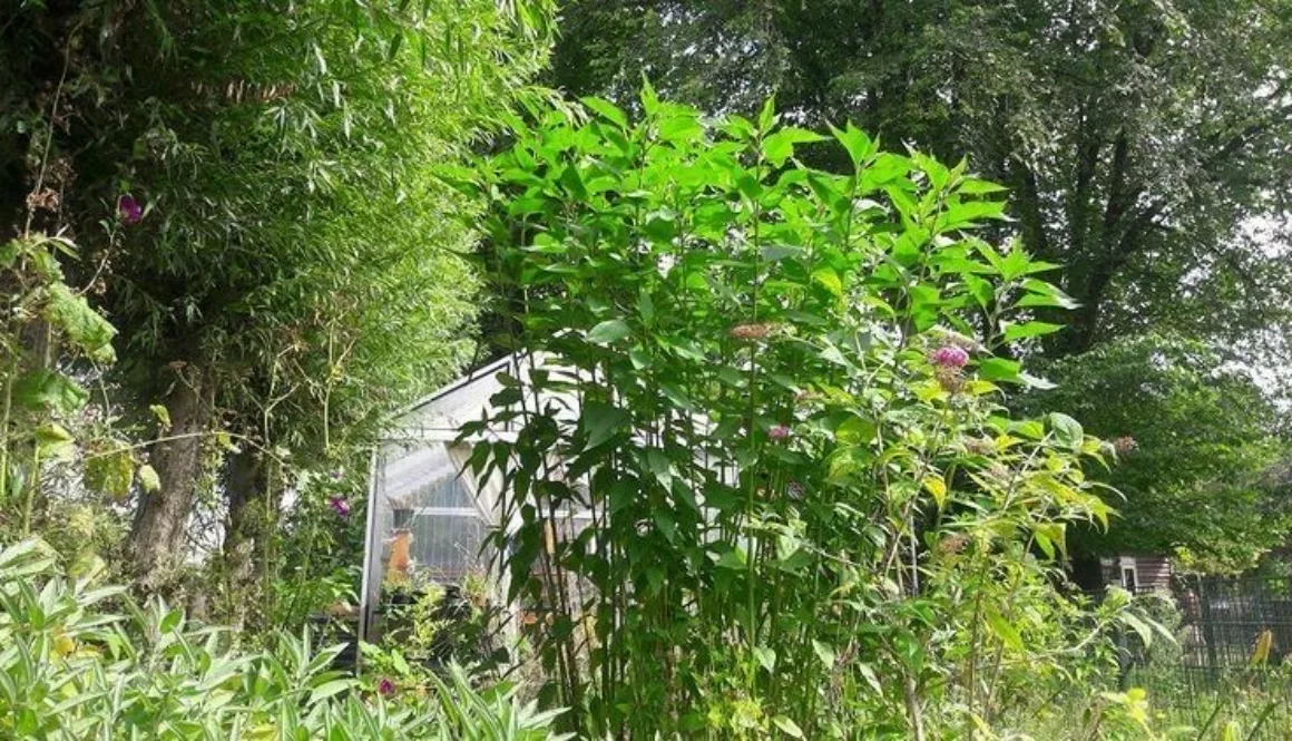 2FF6F9A9-9211-4D15-8382-0167B2258395