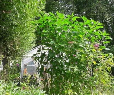 2FF6F9A9-9211-4D15-8382-0167B2258395 2FF6F9A9-9211-4D15-8382-0167B2258395