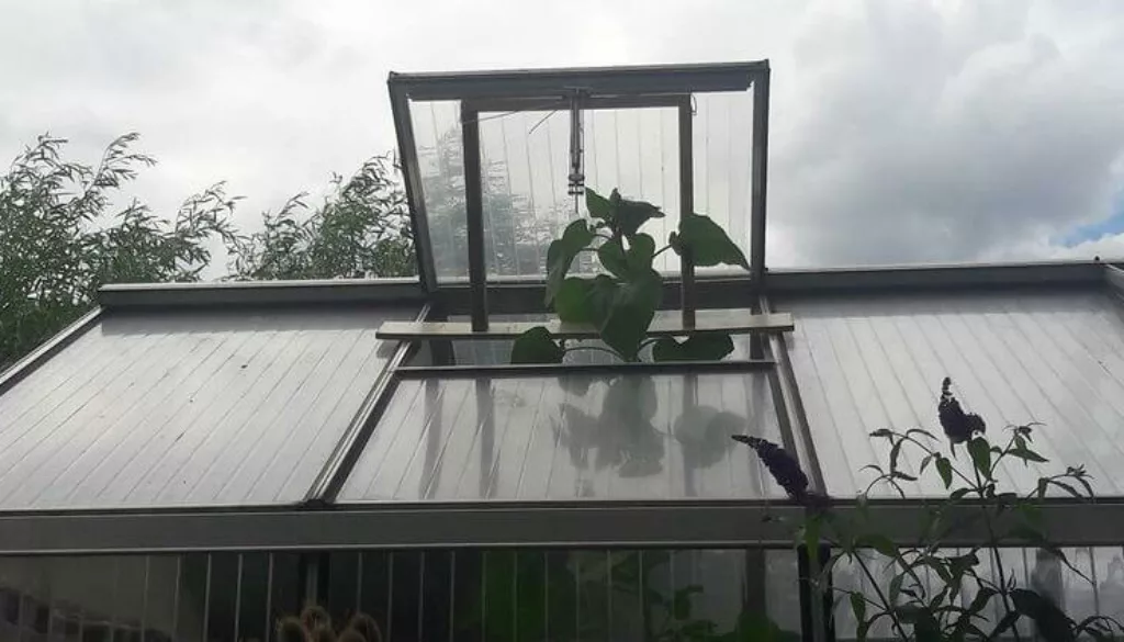 426ED358-9174-4FF0-A557-094E7A60A119 426ED358-9174-4FF0-A557-094E7A60A119