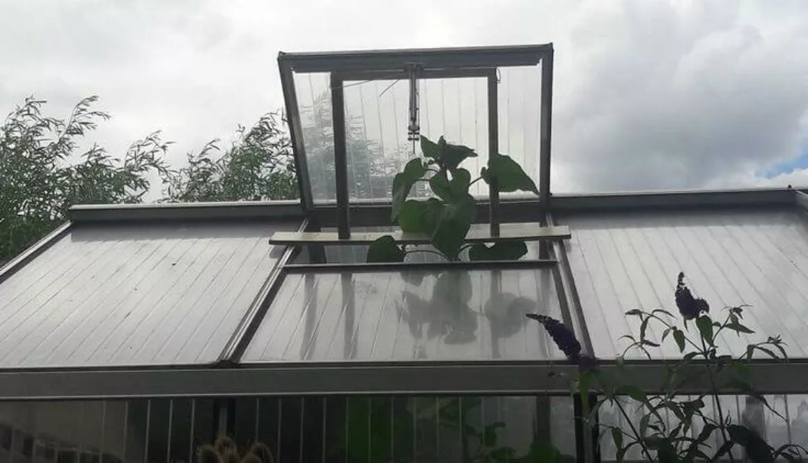 426ED358-9174-4FF0-A557-094E7A60A119