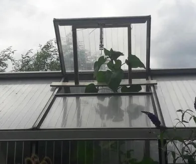 426ED358-9174-4FF0-A557-094E7A60A119 426ED358-9174-4FF0-A557-094E7A60A119