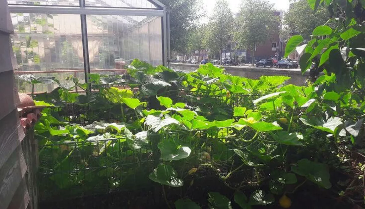 9889A526-4FF3-4138-AAF5-7CD817CCE7CD