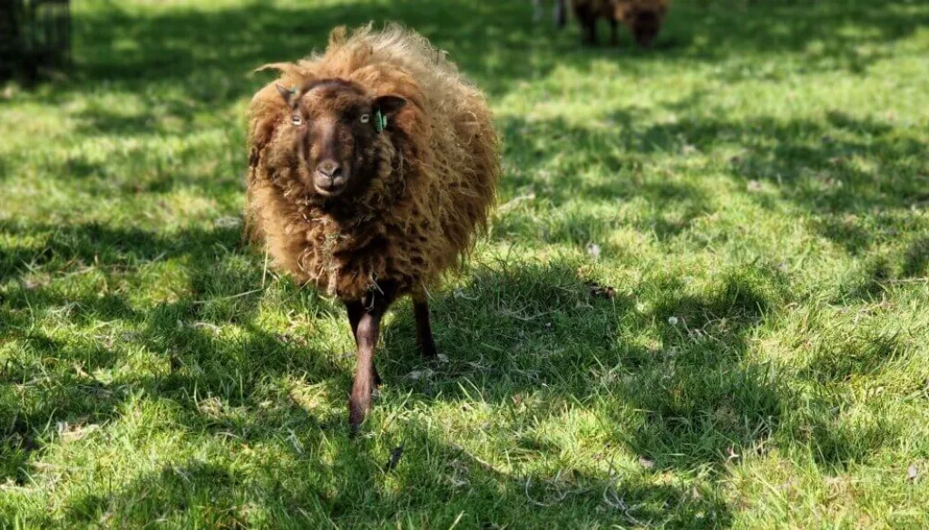 20220424_144212 20220424_144212