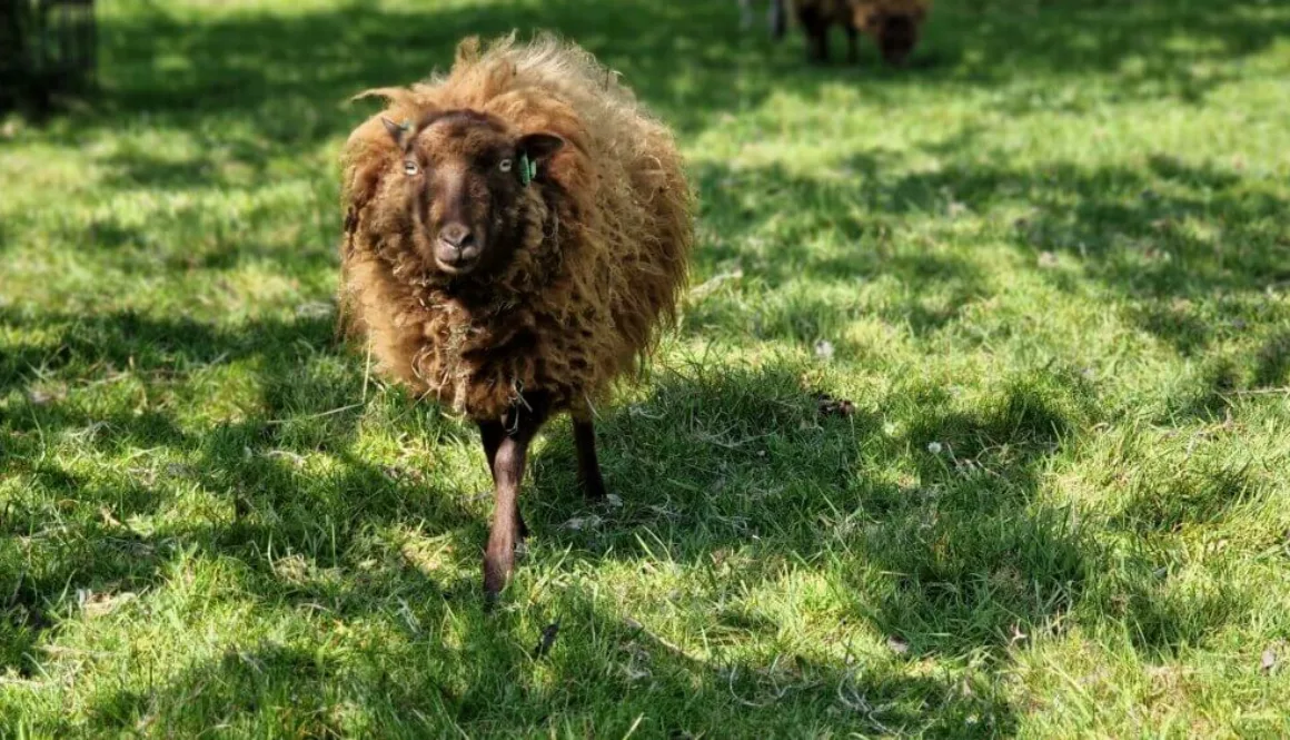 20220424_144212 20220424_144212