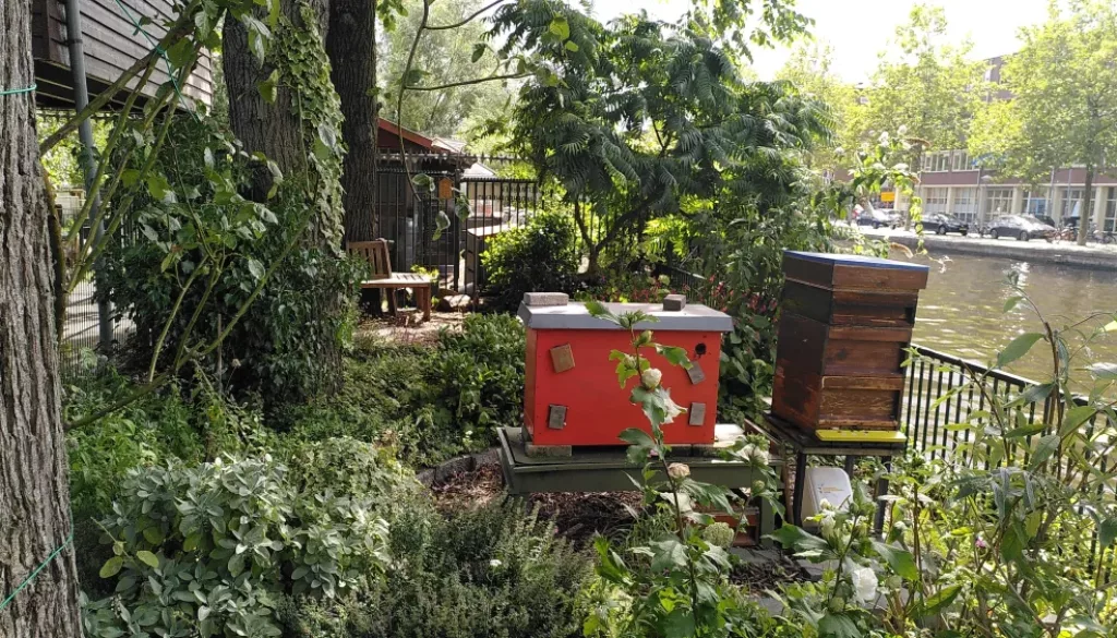 IMG 20230807 WA0005 IMG 20230807 WA0005