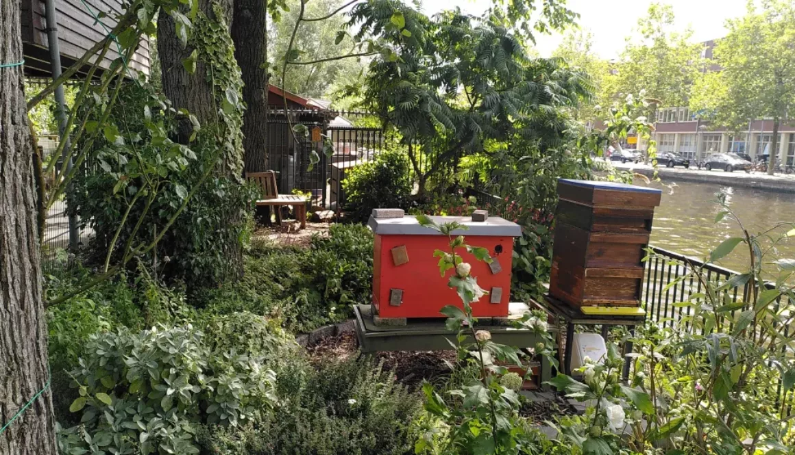 IMG 20230807 WA0005 IMG 20230807 WA0005