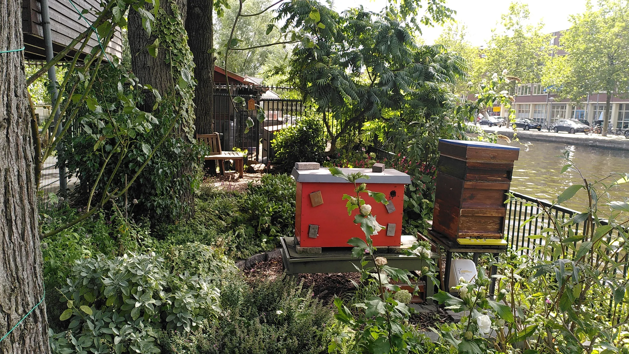 West Begroot – Buitenlesruimte in de bijentuin komt er!