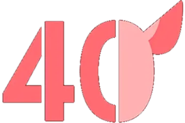 Zimmerhoeve Adpoteer Een Varken