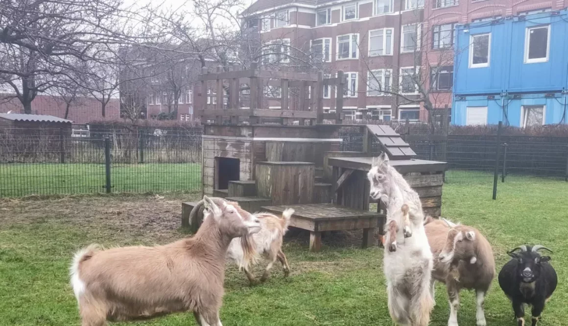 IMG 20240215 095821(1) IMG 20240215 095821(1)